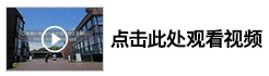 点击此处观看视频