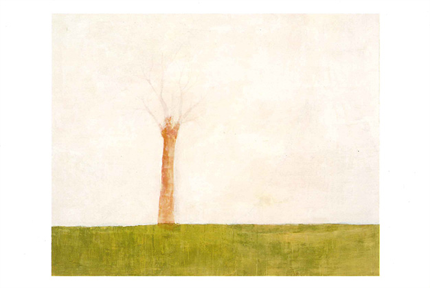 ポストカード 3. The Big Tree