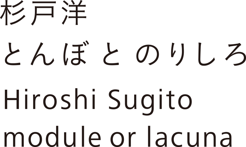 杉戸洋　とんぼ と のりしろ　Hiroshi Sugito　module or lacuna