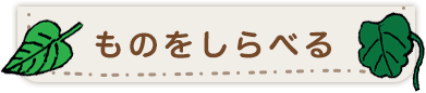 ものをしらべる
