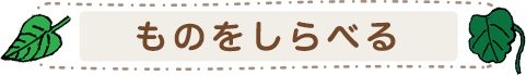ものをしらべる