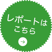 レポートはこちら