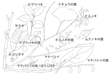 岐阜の森のスペシャリストと楽しむ「森の香り、木の魅力」+「キュッパのびじゅつかん展」3