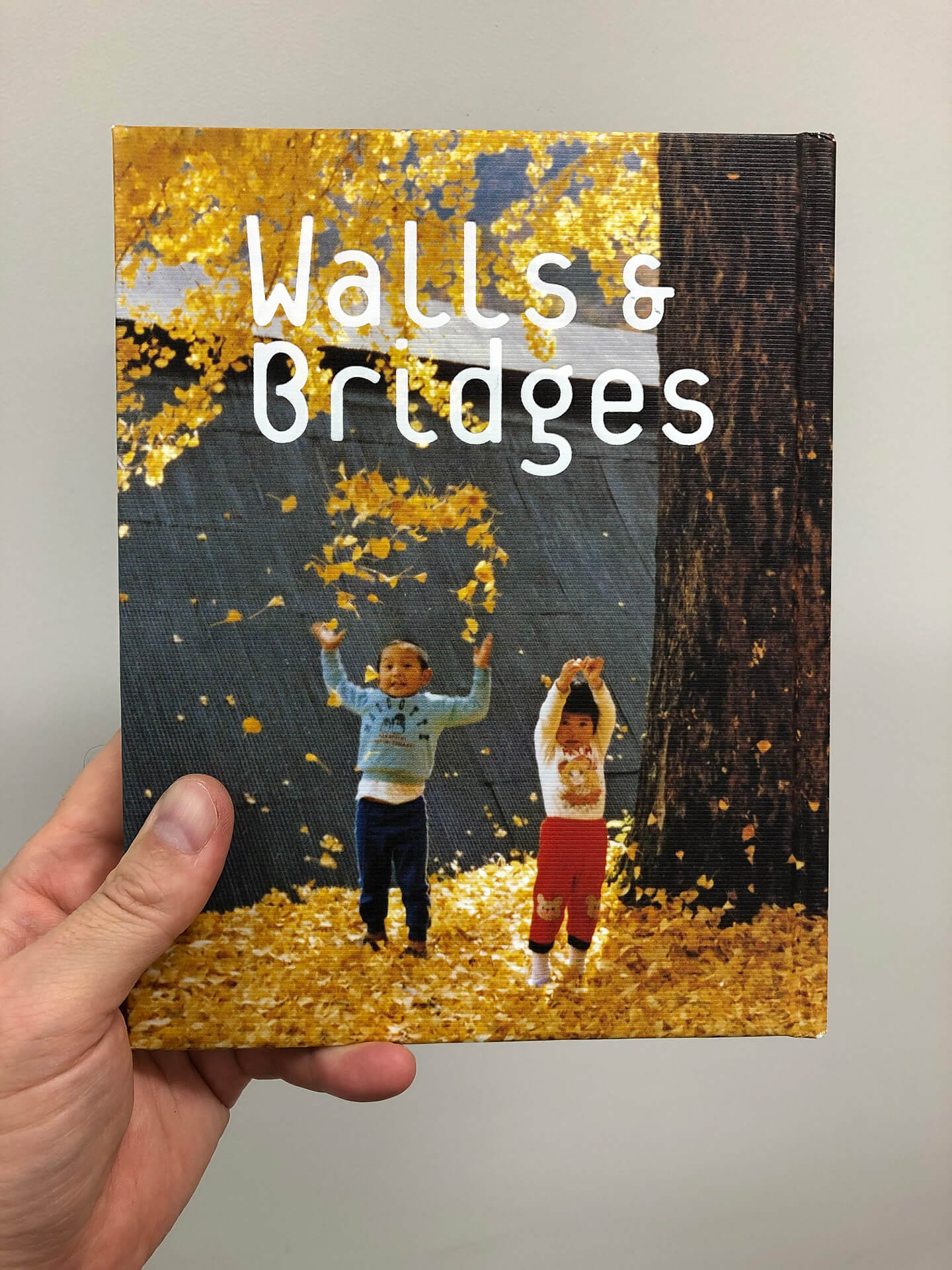 Walls & Bridges 世界にふれる、世界を生きる 図録